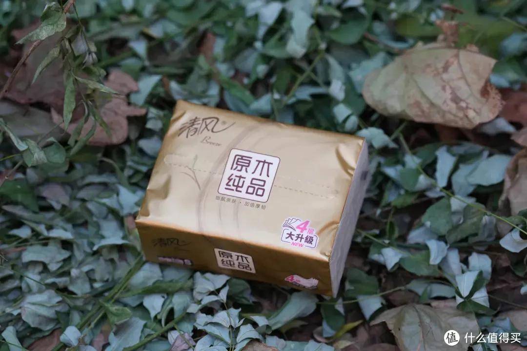 品牌管理角度分享中国十大纸巾j9九游会登录【品牌研究】从(图7)